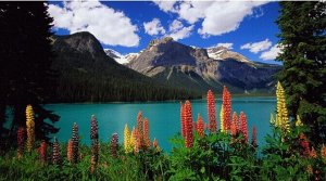 1000 элементов пазл Educa 14141 Изумрудное озеро Канадских гор