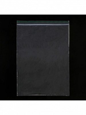 Пакет zip lock 25 х35 см 30 мкм 1/100
