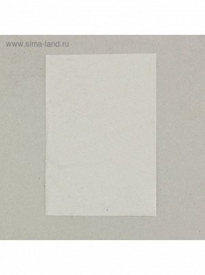 Пакет прозрачный 16 х28 см без липкой ленты 1/100