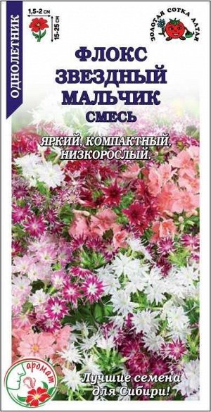 Цветы Флокс Звёздный Мальчик ЦВ/П (СОТКА) 0,2гр смесь однолетник 25см