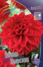 Георгины Эллен ХЬЮСТОН (1уп/1шт)