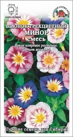 Цветы Вьюнок Минор Трёхцветный ЦВ/П (СОТКА) 0,5гр однолетник до 30см