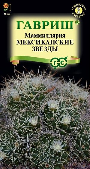 Цветы Маммиллярия Камптотриха Мексиканские звезды ЦВ/П (ГАВРИШ) 2шт комнатное кактус 10см