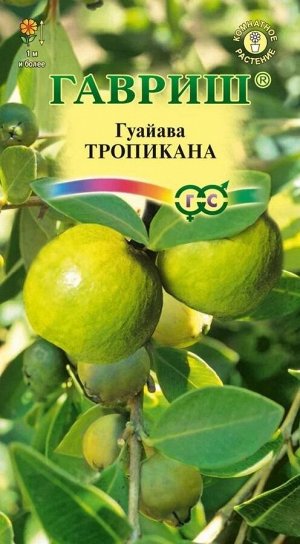 Цветы Гуайава Тропикана ЦВ/П (ГАВРИШ) 0,2гр комнатное до 1,5м