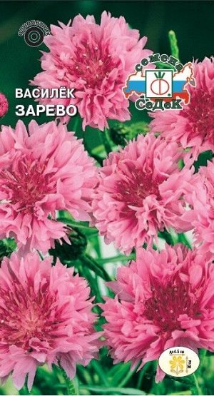 Цветы Василёк Зарево ЦВ/П (СЕДЕК) 0,5гр однолетник 80см