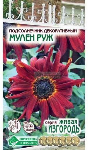 Цветы Подсолнечник Мулен Руж ЦВ/П (ЕС) 1гр однолетник до 1,8м