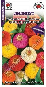 Цветы Цинния Лилипут Смесь ЦВ/П (СОТКА) 0,2гр однолетник 25-35см