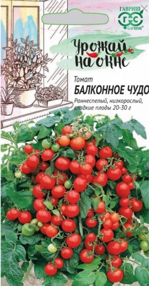 Томат Балконное Чудо ЦВ/П (ГАВРИШ) 0,05гр раннеспелый комнатный 30-40см