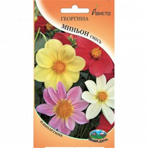 Цветы Георгина Миньон Смесь ЦВ/П (АВИСТА) 0,1гр однолетник до 60см