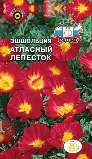 Цветы Эшшольция Атласный лепесток ЦВ/П (СЕДЕК) 0,25гр однолетник 35см