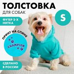Толстовка Champion для собак (футер), размер S (ДС 23, ОШ 32-34, ОГ 40-44), голубая
