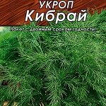 Укроп