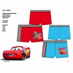 1842  ПЛАВКИ ШОРТАМИ  CARS