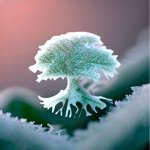 Русские корни — все для твоего здоровья и красоты