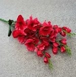 Букет гладиолусов