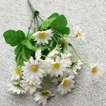 Букет ромашек