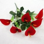 Букет бархатной каллы