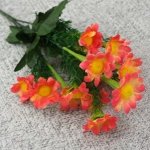 Букет цветных ромашек