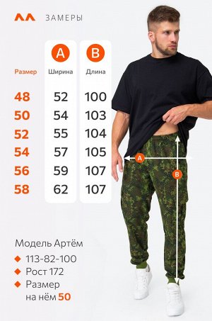 Мужские брюки из футера двухнитки Happyfox