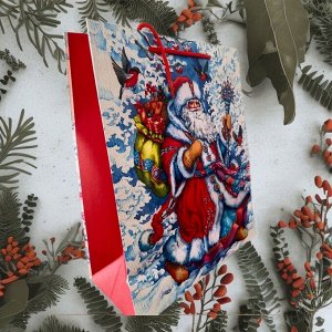Бумажный подарочный пакет "Дед Мороз"