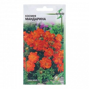 Семена цветов Космея "Мандарина", 10 шт
