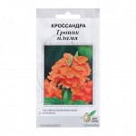 Семена цветов Кроссандра &quot;Тропик&quot; пламя, 3 шт
