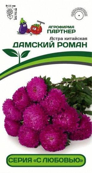Астра китайская Дамский роман