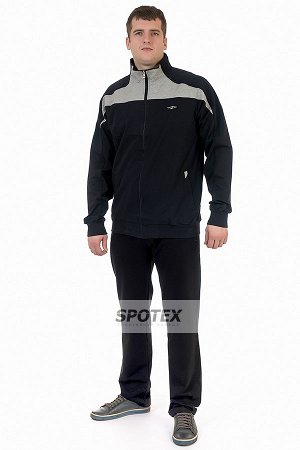 Спортивный костюм мужской из трикотажа AL-2121 т.синий/св. серый (большой размер)