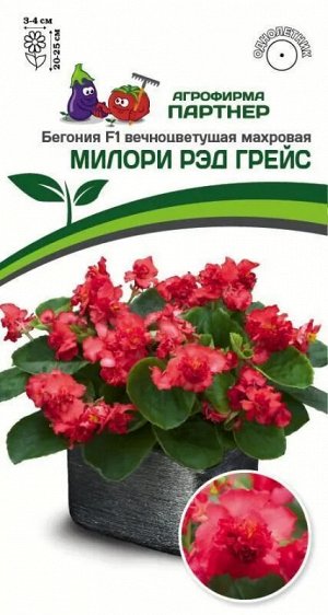 Агрофирма Партнёр Бегония F1 вечноцветущая махровая Милори Рэд Грейс