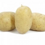 Картофель Пароли 1 репродукция (Россия)