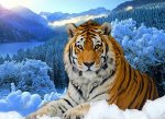 Набор алмазная мозайка 3D