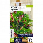 Цветы Кофе Арабика аравийский 5 шт
