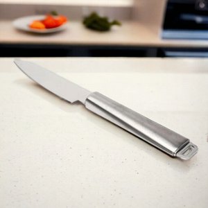 Новый бренд Нож кухонный стальной, 25 см (лезвие 11,5 см)