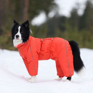 Osso fashion Зимний комбинезон для собак р. 45-2 сука (мандарин)