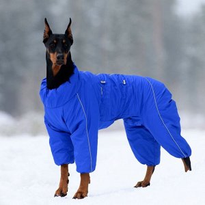 Osso fashion Зимний комбинезон для собак р. 60-1 кобель (синий)