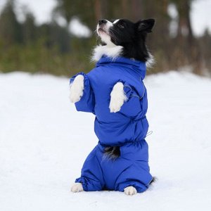 Зимний комбинезон для собак р. 50-2 кобель (синий)