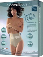 CONTROL BODY, SLIP PLUS