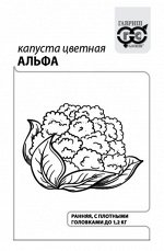 Капуста цветная Альфа ч/б (Код: 91876)