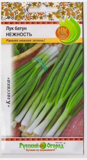 Лук Батун Нежность (Код: 77790)