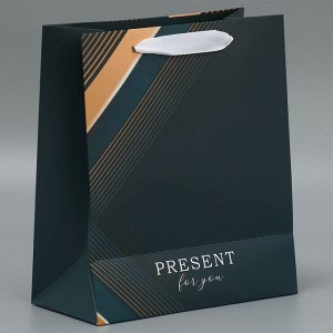 Пакет ламинированный двухсторонний Present for you, ML 23 × 27 × 11,5 см