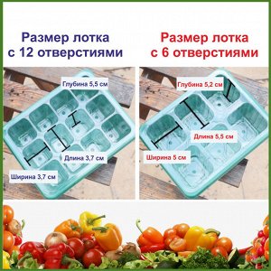 Мини-тепличка с регулируемым куполом влажности и подсветкой 2 в 1