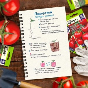 Дневник (блокнот) по выращиванию томатов Семена Алтая. Автор: Виктория Карелина