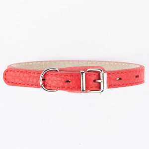 Ошейник Mr.Kranch для собак из натуральной кожи прямой, 24-30см, красный