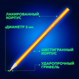 Карандаши с двухцветным грифелем BRAUBERG BICOLOUR, 12 штук, 24 цвета, шестигранные, грифель 3 мм, натуральное дерево, 181855