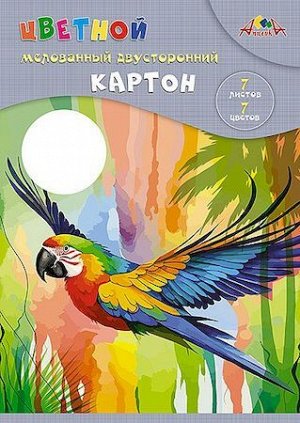 Набор цветного картона двустороннего А4 7л 7цв мелованного "Яркий попугай" папка С0260-16 АппликА {Россия}