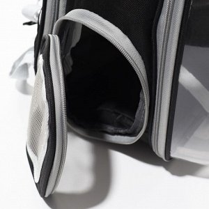 Рюкзак для переноски животных, раскладывающийся, 33 х 28 х 42 см, черный/прозрачный