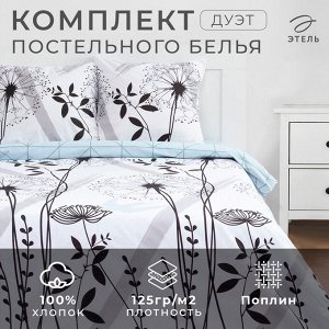 Постельное белье «Этель» дуэт Одуванчик (вид 1) 143*215 см - 2 шт, 220*240 см, 70*70 см -2 шт, поплин