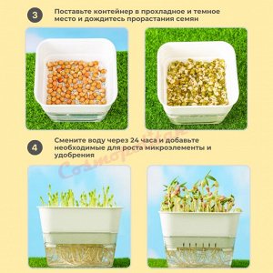 Контейнер для выращивания микрозелени, проращиватель