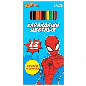 Подарочный набор для мальчика, 10 предметов, Человек-паук