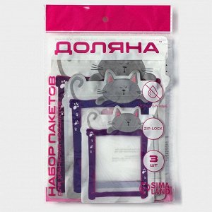 Набор пакетов для хранения сыпучих продуктов Доляна, застёжка zip-lock, 3 шт, 17?23,5 см, 13,7?19 см, 11?14,5 см